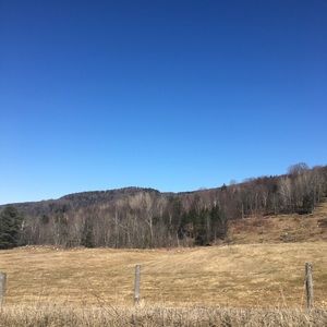 Meet your Posher, Telisha